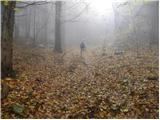 Spodnje Stranice (graves of hundred hostages) - Stolpnik